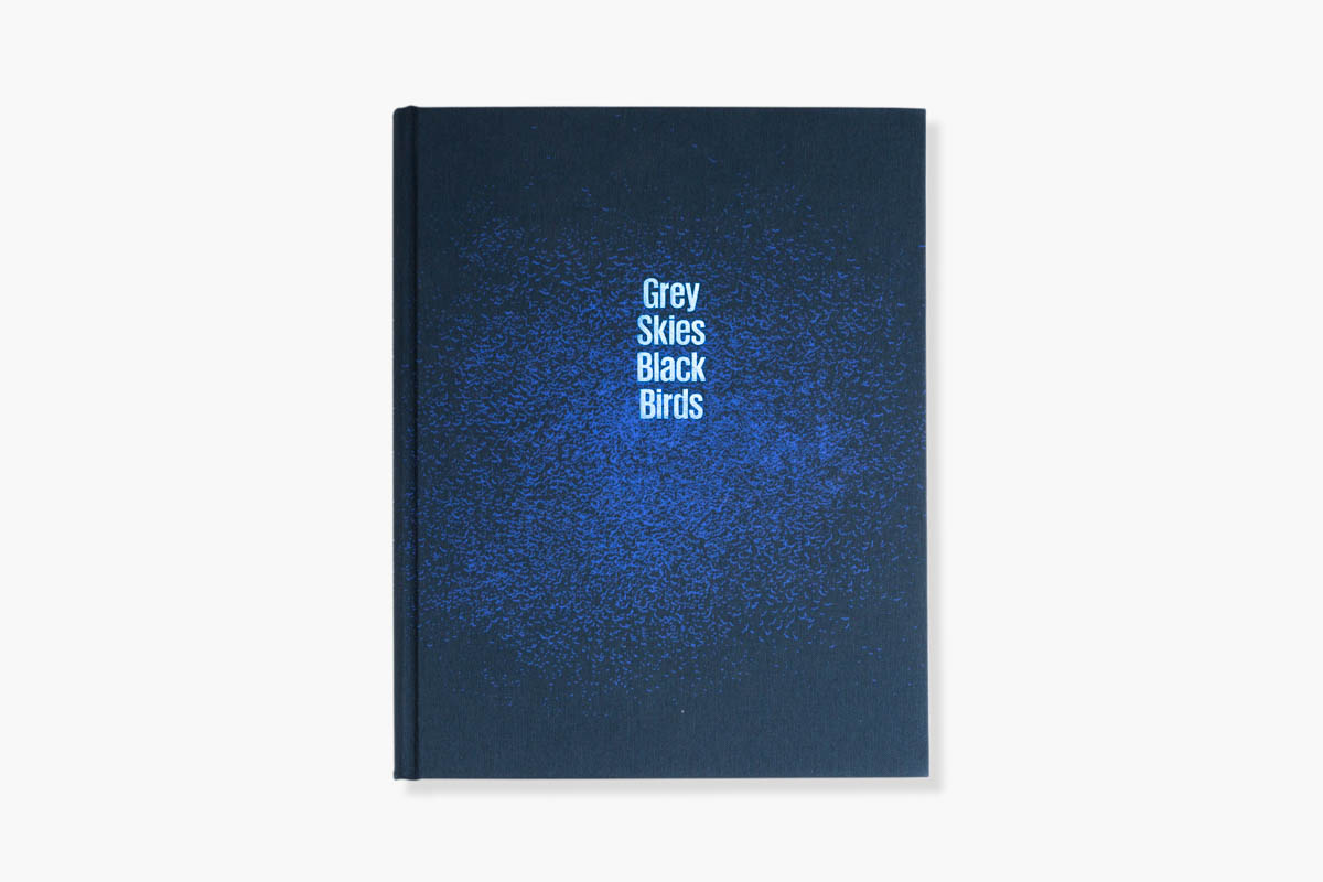 Grey Skies Black Birds - Cover of Grey Skies Black Birds Standard edition by Stéphanie Borcard & Nicolas Métraux - GOST books London. - Copyright © © S. Borcard - N. Metraux - 