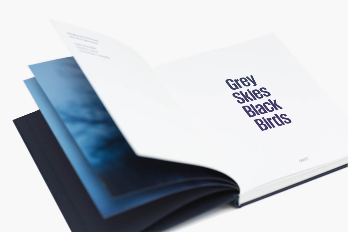 Grey Skies Black Birds - Pages detail of Grey Skies Black Birds by Stéphanie Borcard & Nicolas Métraux - GOST books London. - Copyright © © S. Borcard - N. Metraux -
