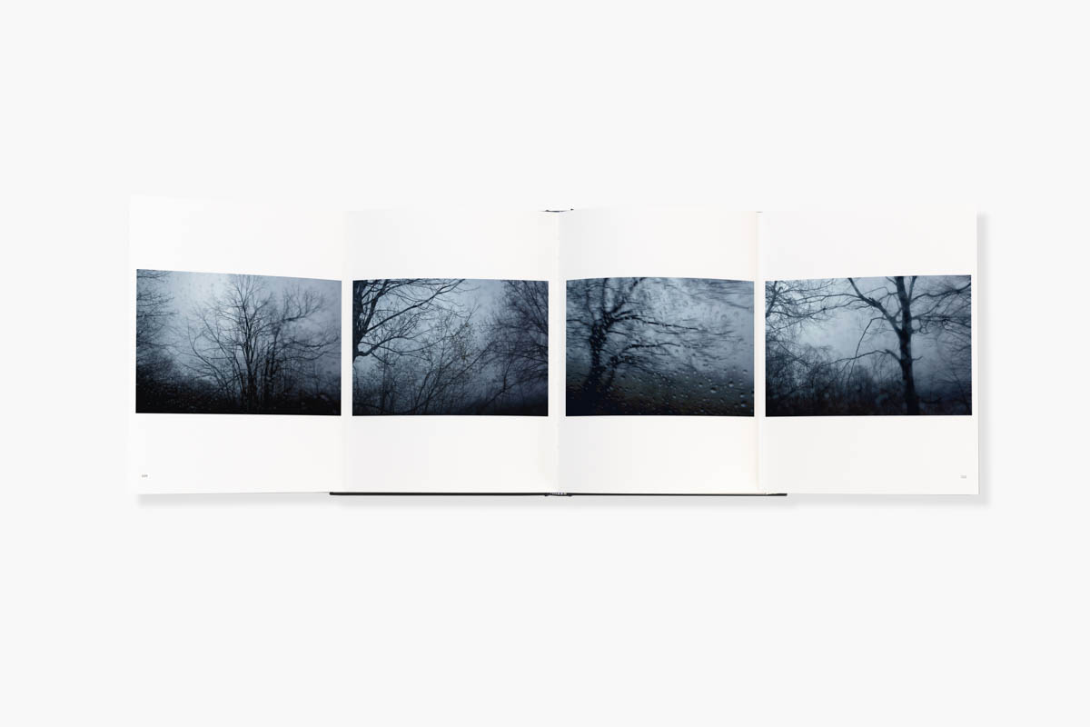 Grey Skies Black Birds - Pages detail of Grey Skies Black Birds by Stéphanie Borcard & Nicolas Métraux - GOST books London. - Copyright © © S. Borcard - N. Metraux -
