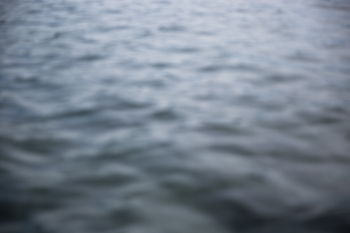 Lake Geneva water in St. Sulpice. Unlike in many other countries, Switzerland does not disinfect wastewater to control pathogen dissemination into the environment. Professor Tamer Kohn’s research focuses on waterborne pathogens and their fate in the environment and during water treatment. St. Sulpice, June 2017