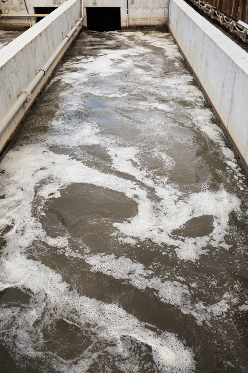 Wastewater flowing through a channel before reaching a sedimentation basin. Samples of this sewage water will be collected by Prof. Tamar Kohn’s team and analysed for waterborne pathogens. STEP Ecublens, June 2017