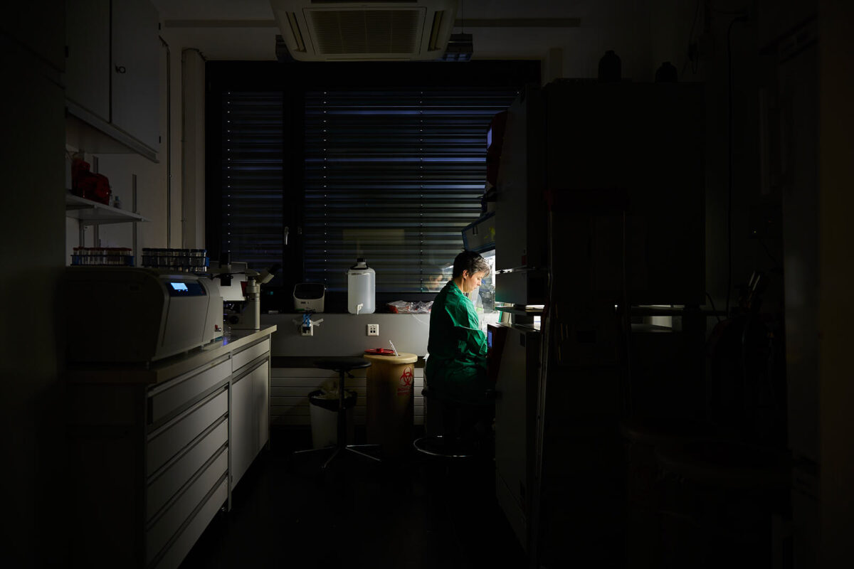  - Karin Strittmatter, technical associate, collaborates with Prof. Aceto since one year. Here she is working on cultures of human circulating tumor cells. UNI Basel, November 2019. - Copyright © Stéphanie Borcard & Nicolas Métraux / BM PHOTOS - Basel - Canton de Zurich - Suisse - 