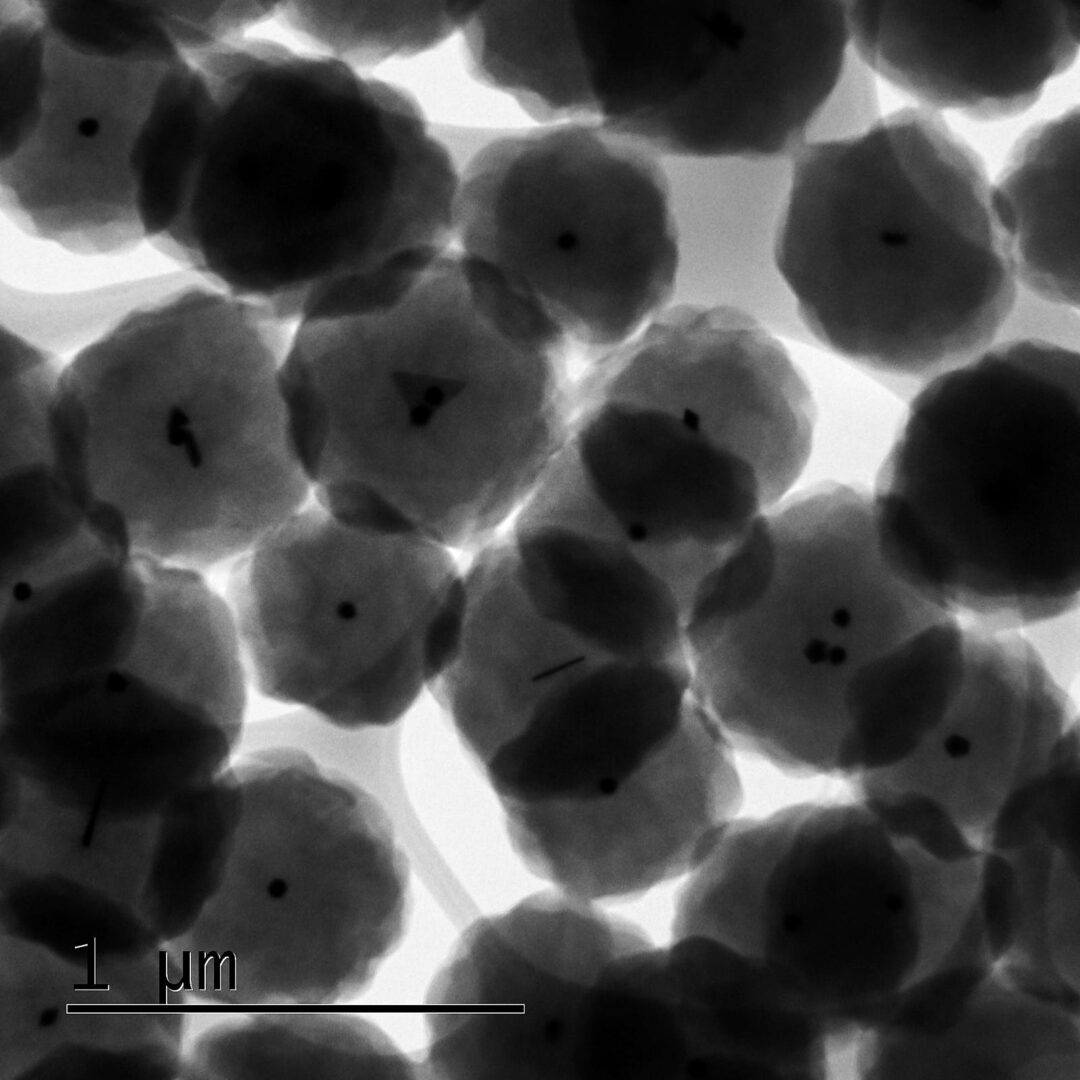  - Gold nanoparticles coated with a polymer seen through an electron microscope. EPFL Sion, December 2019 - Sion - Canton de Valais - Suisse - 