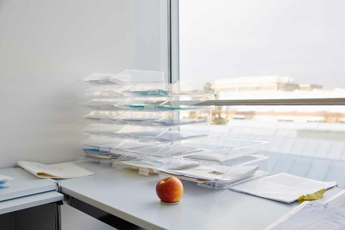 An apple and a view. Uni Zürich, December 2019. - An apple and a view. Uni Zürich, December 2019. - Copyright © BM PHOTOS Stephanie Borcard & Nicolas Metraux - Zurich - Canton de Zurich - Suisse - 